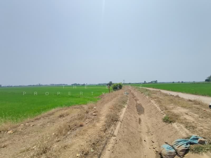 ที่ดินพิชัย อุตรดิตถ์, Uttaradit, Ban Dara, Phichai, Uttaradit, , 13,008 sqm, Land For Sale, by The Best Property น้อยหน่า, 500206848 - DDproperty.com