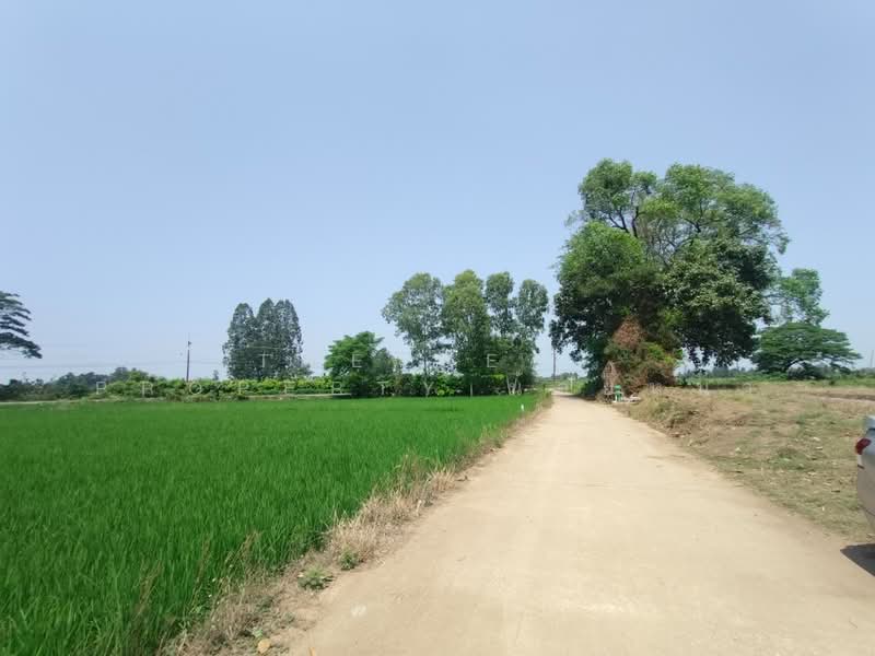 ที่ดินพิชัย อุตรดิตถ์, Uttaradit, Ban Dara, Phichai, Uttaradit, , 13,008 sqm, Land For Sale, by The Best Property น้อยหน่า, 500206848 - DDproperty.com