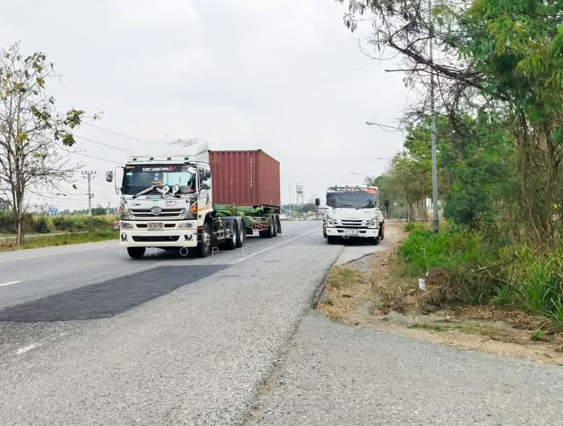 ขาย - ที่ดินพนัสนิคม ชลบุรี, ชลบุรี