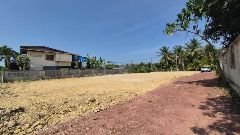 ที่ดินดำเนินสะดวก ราชบุรี, ราชบุรี, ดอนกรวย, ดำเนินสะดวก, ราชบุรี, 228 ตร.ม., ที่ดิน ขาย, โดย The Best Property อิ๋ว, 500206899 - DDproperty.com