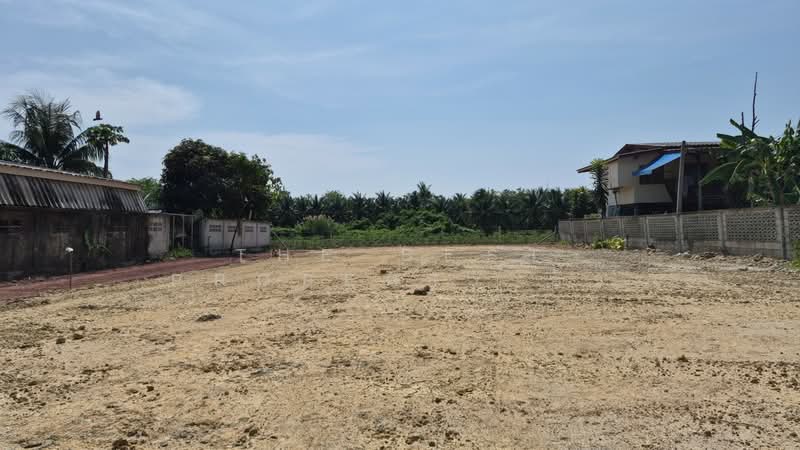 ที่ดินดำเนินสะดวก ราชบุรี, ราชบุรี, ดอนกรวย, ดำเนินสะดวก, ราชบุรี, 228 ตร.ม., ที่ดิน ขาย, โดย The Best Property อิ๋ว, 500206899 - DDproperty.com