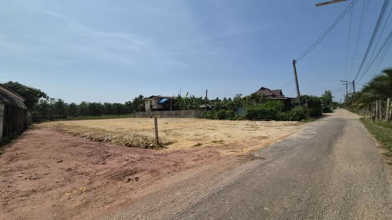 ที่ดินดำเนินสะดวก ราชบุรี, ราชบุรี, ดอนกรวย, ดำเนินสะดวก, ราชบุรี, 228 ตร.ม., ที่ดิน ขาย, โดย The Best Property อิ๋ว, 500206899 - DDproperty.com