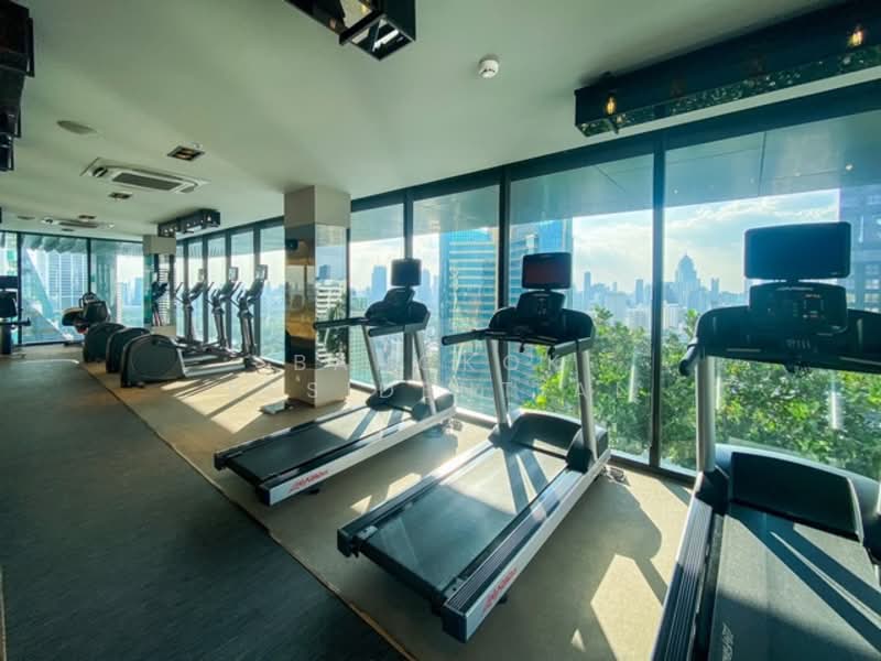 Celes Asoke, Bangkok, 8-10 Sukhumvit 21, Khlongtoei Nua, Watthana, Bangkok, 2 Bedrooms, 70 sqm, Condo For Rent, by Bangkok Residential, 500206928 - DDproperty.com