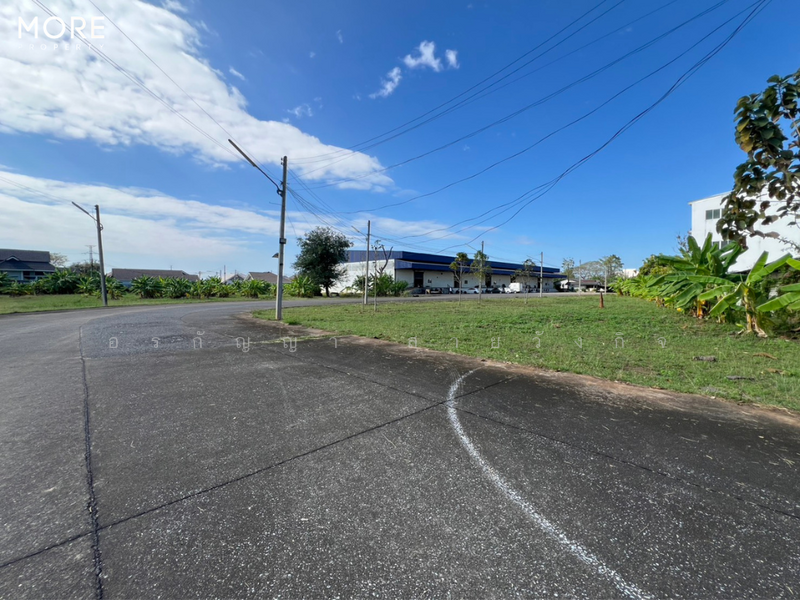 ขาย ที่ดินพร้อมสิ่งปลูกสร้าง บ้านถวาย หางดง 9 ไร่ 3 งาน 62 ตารางวา (ID:275LS), เชียงใหม่, หนองแก๋ว, หางดง, เชียงใหม่, 15,848 ตร.ม., ที่ดิน ขาย, โดย อรกัญญา สายวังกิจ, 500207064 - DDproperty.com