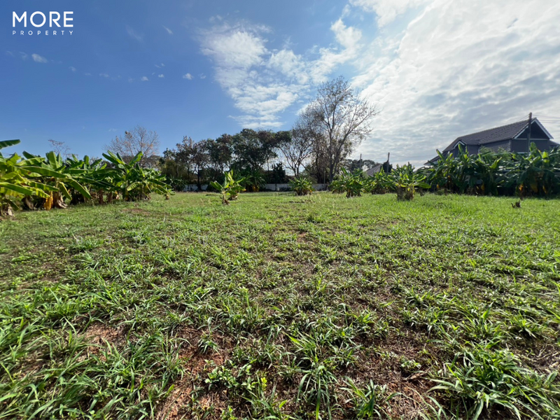 Land with Building for Sale in Baan Tawai, Hang Dong – 9 Rai 3 Ngan 62 Sq.wah (ID: 275LS), Chiang Mai, Nong Kaeo, Hang Dong, Chiang Mai, , 15,848 sqm, Land For Sale, by อรกัญญา สายวังกิจ, 500207064 - DDproperty.com