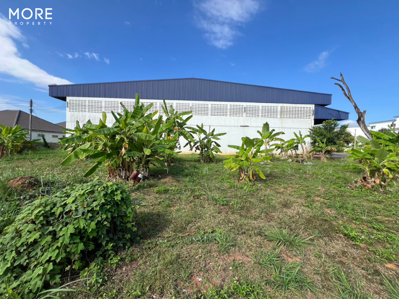 Land with Building for Sale in Baan Tawai, Hang Dong – 9 Rai 3 Ngan 62 Sq.wah (ID: 275LS), Chiang Mai, Nong Kaeo, Hang Dong, Chiang Mai, , 15,848 sqm, Land For Sale, by อรกัญญา สายวังกิจ, 500207064 - DDproperty.com