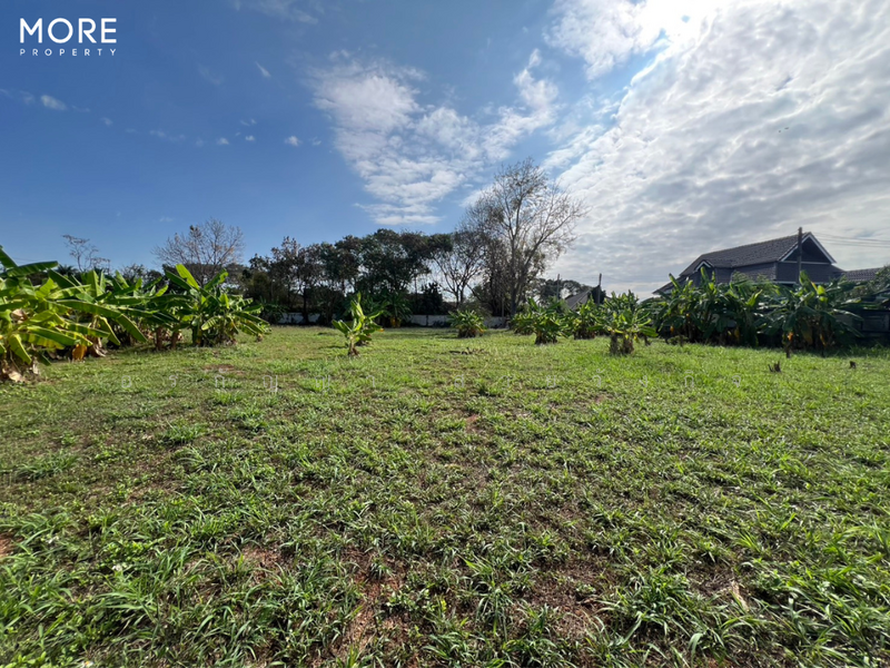 Land with Building for Sale in Baan Tawai, Hang Dong – 9 Rai 3 Ngan 62 Sq.wah (ID: 275LS), Chiang Mai, Nong Kaeo, Hang Dong, Chiang Mai, , 15,848 sqm, Land For Sale, by อรกัญญา สายวังกิจ, 500207064 - DDproperty.com