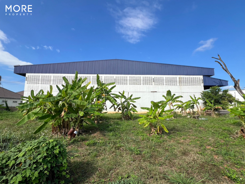 Land with Building for Sale in Baan Tawai, Hang Dong – 9 Rai 3 Ngan 62 Sq.wah (ID: 275LS), Chiang Mai, Nong Kaeo, Hang Dong, Chiang Mai, , 15,848 sqm, Land For Sale, by อรกัญญา สายวังกิจ, 500207064 - DDproperty.com