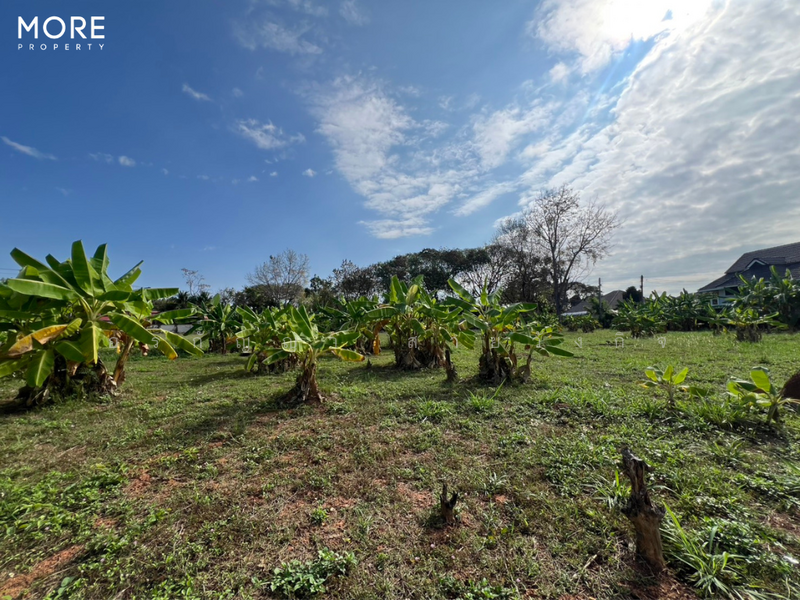 Land with Building for Sale in Baan Tawai, Hang Dong – 9 Rai 3 Ngan 62 Sq.wah (ID: 275LS), Chiang Mai, Nong Kaeo, Hang Dong, Chiang Mai, , 15,848 sqm, Land For Sale, by อรกัญญา สายวังกิจ, 500207064 - DDproperty.com