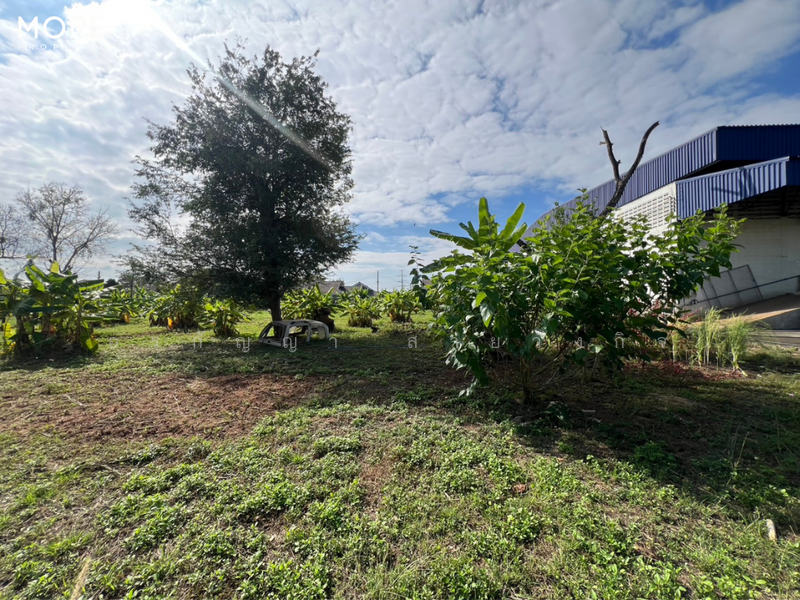 Land with Building for Sale in Baan Tawai, Hang Dong – 9 Rai 3 Ngan 62 Sq.wah (ID: 275LS), Chiang Mai, Nong Kaeo, Hang Dong, Chiang Mai, , 15,848 sqm, Land For Sale, by อรกัญญา สายวังกิจ, 500207064 - DDproperty.com