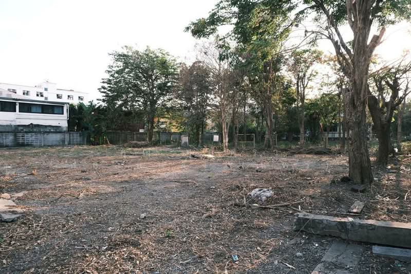 ขาย - ที่ดินเปล่า 198 ตร.ว. ที่ดิน ใกล้บิ๊กซี มาร์เก็ตเพลส วงศ์สว่าง ซอยกรุงเทพ-นนทบุรี39, กรุงเทพ