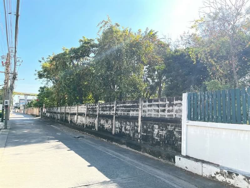 ขาย - ที่ดินเปล่า 198 ตร.ว. ที่ดิน ใกล้บิ๊กซี มาร์เก็ตเพลส วงศ์สว่าง ซอยกรุงเทพ-นนทบุรี39, กรุงเทพ