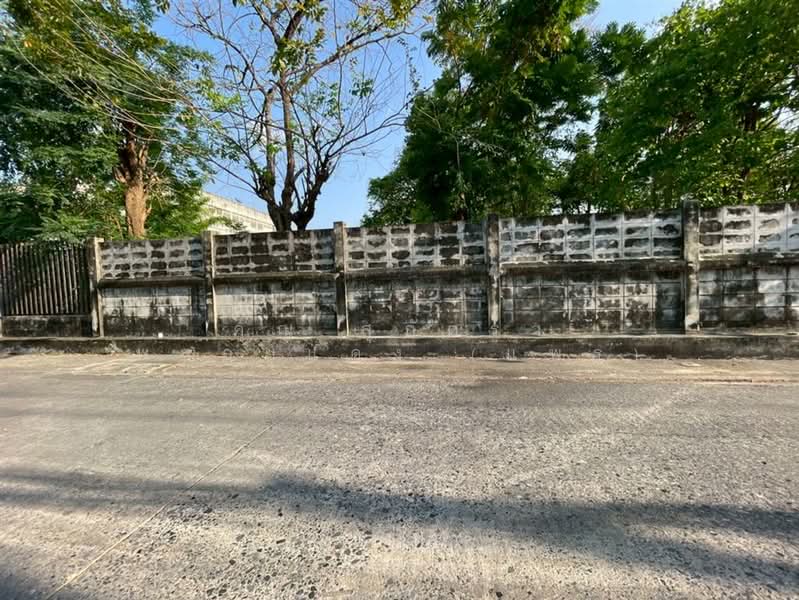 ที่ดินเปล่า 198 ตร.ว. ที่ดิน ใกล้บิ๊กซี มาร์เก็ตเพลส วงศ์สว่าง ซอยกรุงเทพ-นนทบุรี39, Bangkok, ถนนกรุงเทพ-นนทบุรี, Wong Sawang, Bang Sue, Bangkok, , 792 sqm, Land For Sale, by คุณ สุภัตรา พลอยแดง (แพร), 500207133 - DDproperty.com