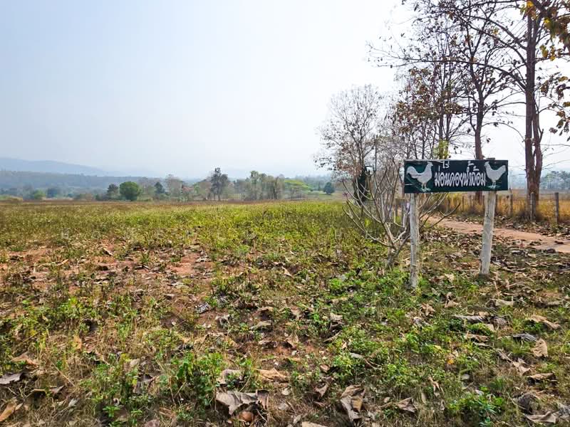 ที่ดินวิวภูเขา 40 ไร่ แม่แตง ราคาดี ใกล้แหล่งท่องเที่ยวธรรมชาติ, Chiang Mai, Mae Taeng, Mae Taeng, Chiang Mai, , 64,972 sqm, Land For Sale, by HOMEPLUS REALTY - คุณหนึ่ง, 500207135 - DDproperty.com