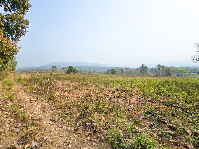 ที่ดินวิวภูเขา 40 ไร่ แม่แตง ราคาดี ใกล้แหล่งท่องเที่ยวธรรมชาติ, Chiang Mai, Mae Taeng, Mae Taeng, Chiang Mai, , 64,972 sqm, Land For Sale, by HOMEPLUS REALTY - คุณหนึ่ง, 500207135 - DDproperty.com