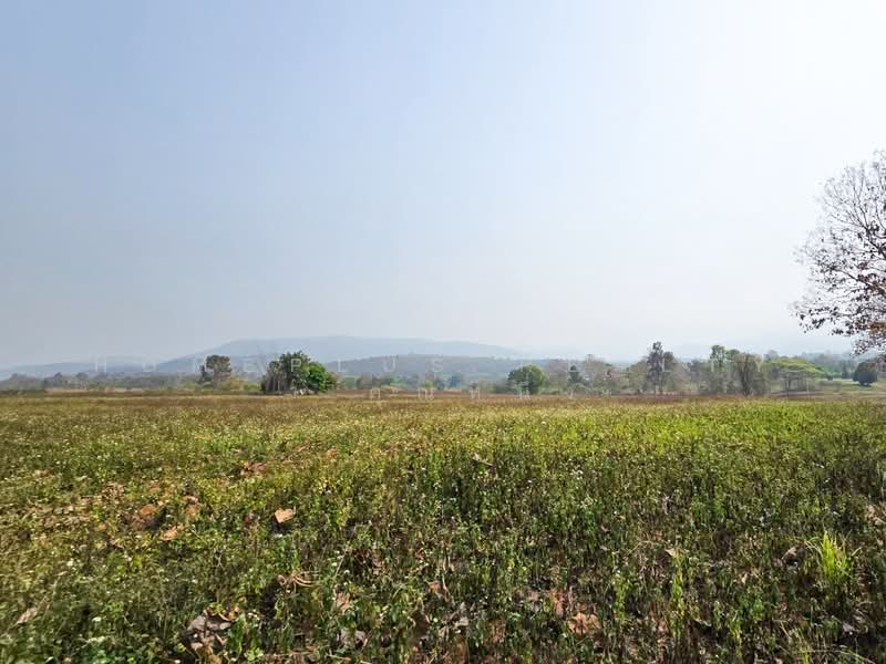 ที่ดินวิวภูเขา 40 ไร่ แม่แตง ราคาดี ใกล้แหล่งท่องเที่ยวธรรมชาติ, Chiang Mai, Mae Taeng, Mae Taeng, Chiang Mai, , 64,972 sqm, Land For Sale, by HOMEPLUS REALTY - คุณหนึ่ง, 500207135 - DDproperty.com