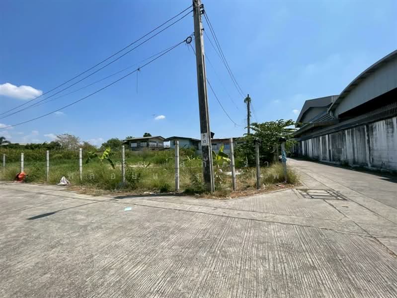 ที่ดินเปล่า 399 ตร.ว. ที่ดิน ใกล้ตลาดลิขิต ตรงข้ามวัดบางพลีใหญ่กลาง ซอยลิขิต7 ถนนกิ่งแก้ว, Samut Prakan, Bangphli Yai, Bang Plee, Samut Prakan, , 1,596 sqm, Land For Sale, by คุณ สุภัตรา พลอยแดง (แพร), 500207188 - DDproperty.com