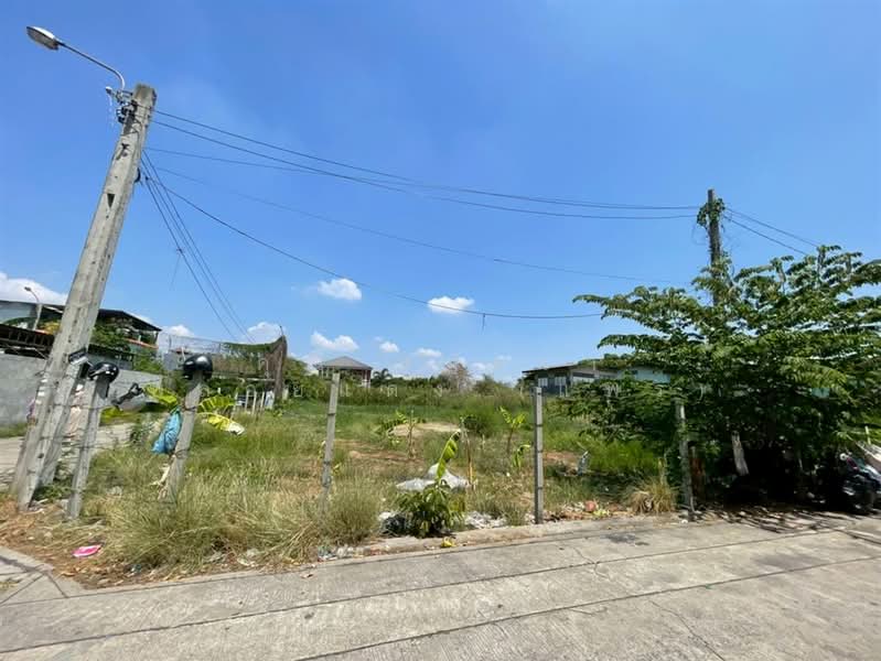 ที่ดินเปล่า 399 ตร.ว. ที่ดิน ใกล้ตลาดลิขิต ตรงข้ามวัดบางพลีใหญ่กลาง ซอยลิขิต7 ถนนกิ่งแก้ว, Samut Prakan, Bangphli Yai, Bang Plee, Samut Prakan, , 1,596 sqm, Land For Sale, by คุณ สุภัตรา พลอยแดง (แพร), 500207188 - DDproperty.com