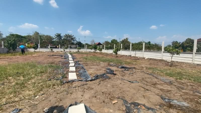 ขาย - ที่ดินคลองหก ปทุมธานี, ปทุมธานี