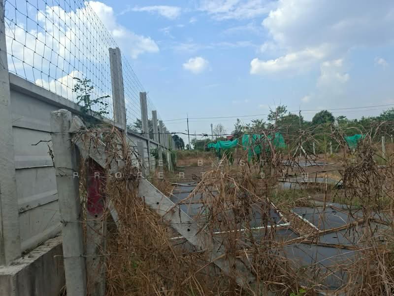 ขาย - ที่ดินคลองหก ปทุมธานี, ปทุมธานี