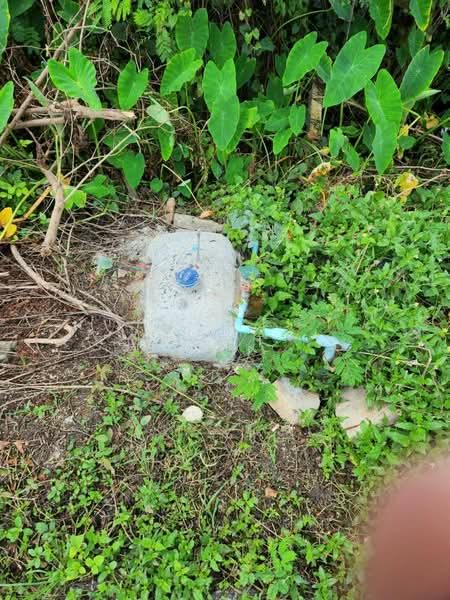 ขาย - ที่ดินคลองหก ปทุมธานี, ปทุมธานี