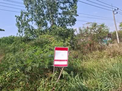 ขาย - ที่ดินโชคชัย นครราชสีมา, นครราชสีมา