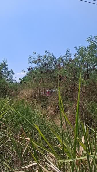 For Sale - ที่ดินโชคชัย นครราชสีมา, Nakhon Ratchasima