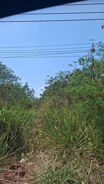 For Sale - ที่ดินโชคชัย นครราชสีมา, Nakhon Ratchasima