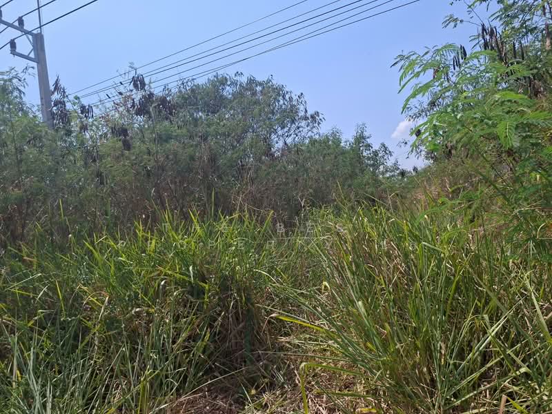 For Sale - ที่ดินโชคชัย นครราชสีมา, Nakhon Ratchasima