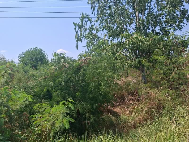 For Sale - ที่ดินโชคชัย นครราชสีมา, Nakhon Ratchasima