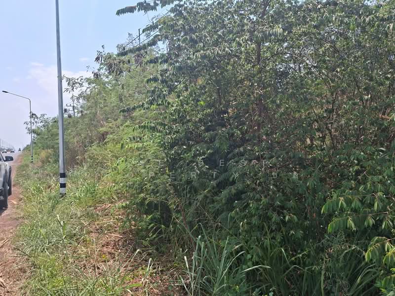 For Sale - ที่ดินโชคชัย นครราชสีมา, Nakhon Ratchasima