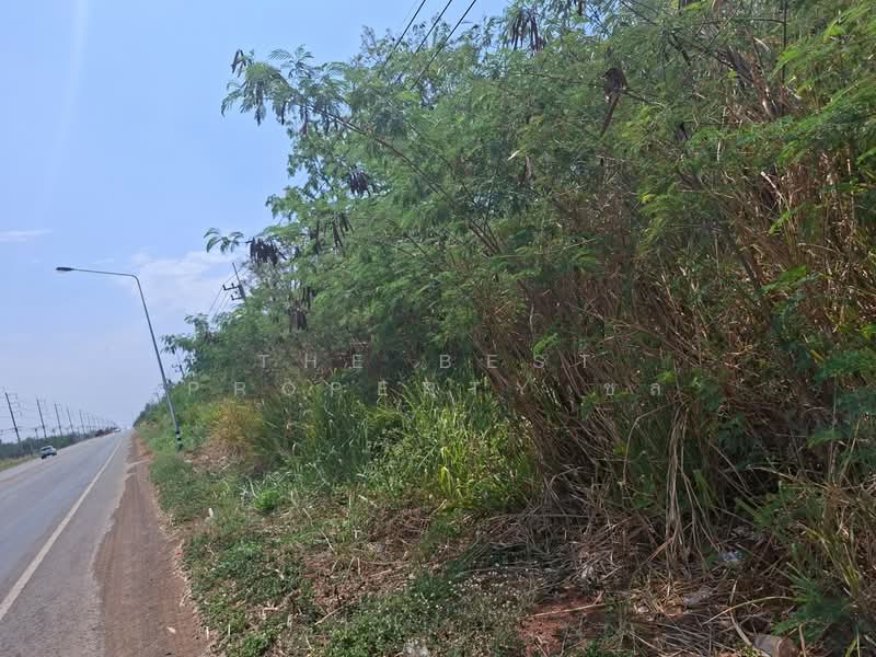 ขาย - ที่ดินโชคชัย นครราชสีมา, นครราชสีมา