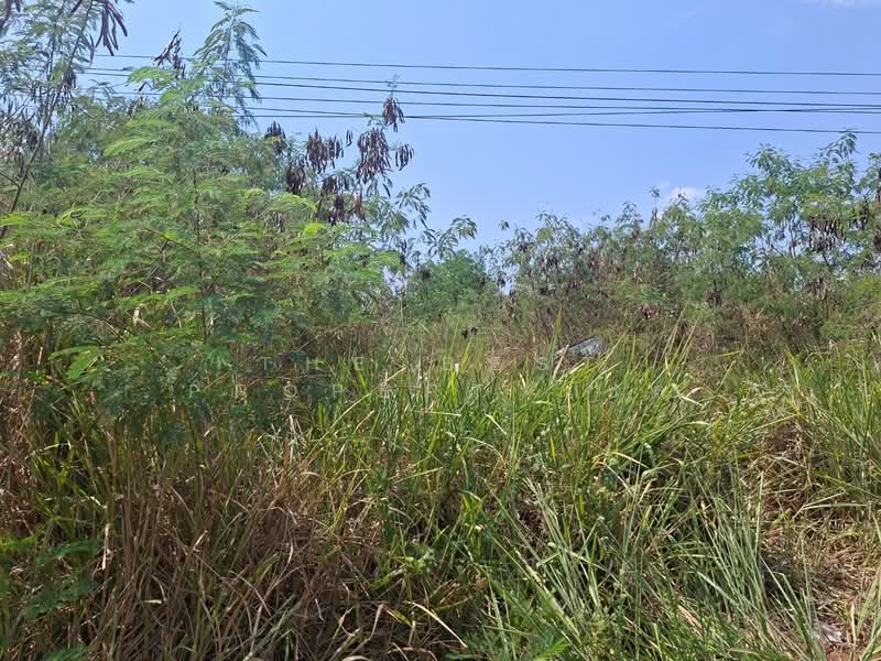 For Sale - ที่ดินโชคชัย นครราชสีมา, Nakhon Ratchasima