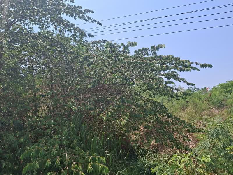 For Sale - ที่ดินโชคชัย นครราชสีมา, Nakhon Ratchasima