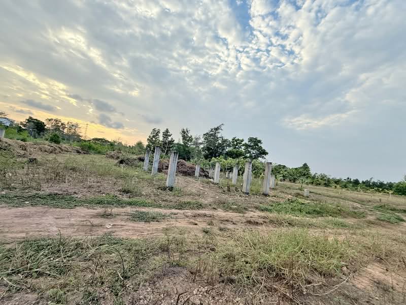 ที่ดินท่าใหม่ จันทบุรี, จันทบุรี, โขมง, ท่าใหม่, จันทบุรี, 824 ตร.ม., ที่ดิน ขาย, โดย The Best Property เมญ่า, 500207230 - DDproperty.com