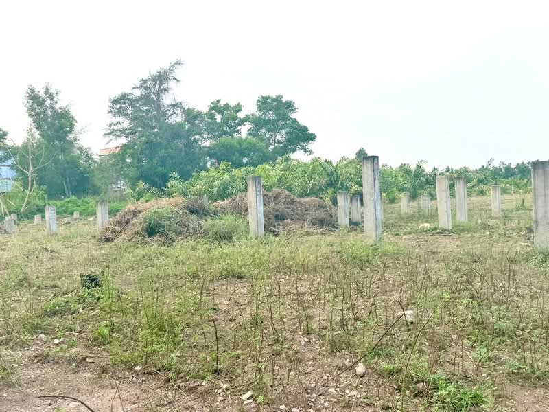 ที่ดินท่าใหม่ จันทบุรี, จันทบุรี, โขมง, ท่าใหม่, จันทบุรี, 824 ตร.ม., ที่ดิน ขาย, โดย The Best Property เมญ่า, 500207230 - DDproperty.com