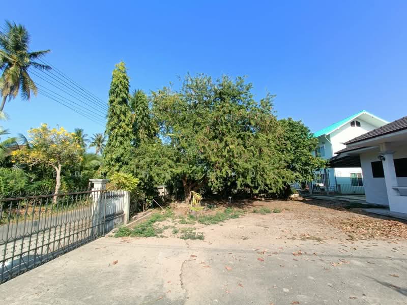 For sale house and land 210 wah Muang Prachuap Khiri Khan, Prachuap Khiri Khan, Prachuapkhilikhan, Muang Prachaubkirikhan, Prachuap Khiri Khan, 3 Bedrooms, 220 sqm, Single Detached House For Sale, by คุณนพพล อภินนท์กูล, 500207231 - DDproperty.com
