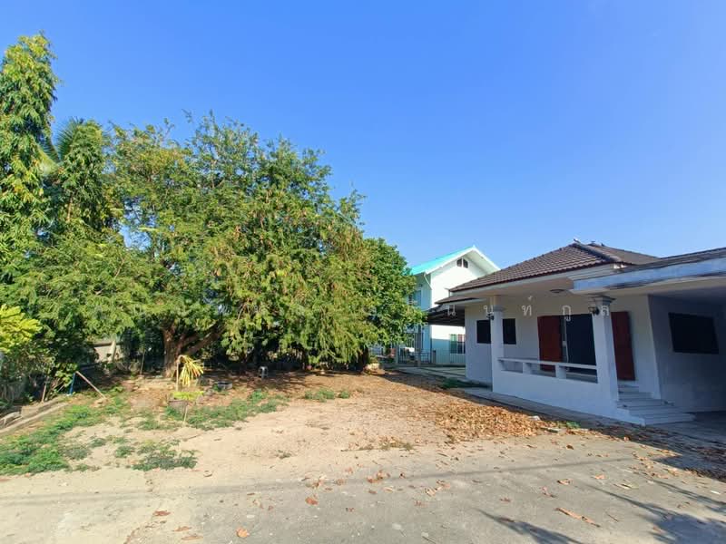 For sale house and land 210 wah Muang Prachuap Khiri Khan, Prachuap Khiri Khan, Prachuapkhilikhan, Muang Prachaubkirikhan, Prachuap Khiri Khan, 3 Bedrooms, 220 sqm, Single Detached House For Sale, by คุณนพพล อภินนท์กูล, 500207231 - DDproperty.com