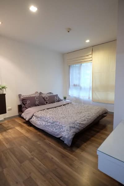 The Room Sukhumvit 79 : เดอะ รูม สุขุมวิท 79, กรุงเทพ, 99 ถนนสุขุมวิท 79, พระโขนงเหนือ, วัฒนา, กรุงเทพ, 38 ตร.ม., คอนโด ให้เช่า, โดย Connex Property, 500207239 - DDproperty.com