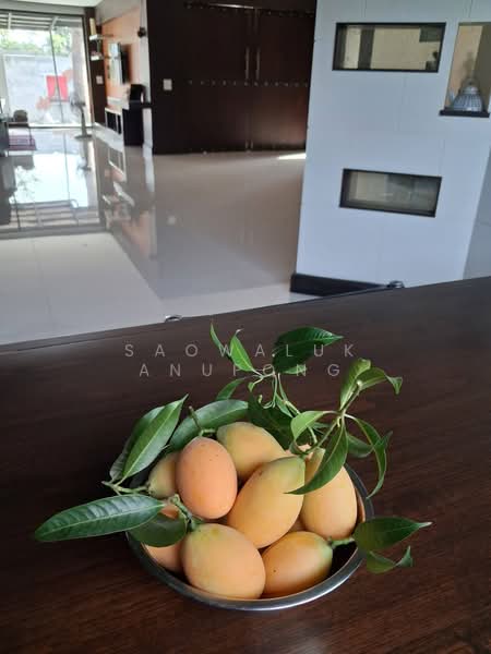 เปรมวดี พุทธมณฑลสาย 3, Bangkok, Sala Thammasop, Thawi Watthana, Bangkok, 4 Bedrooms, 600 sqm, Single Detached House For Sale, by Saowaluk Anupong, 500207292 - DDproperty.com