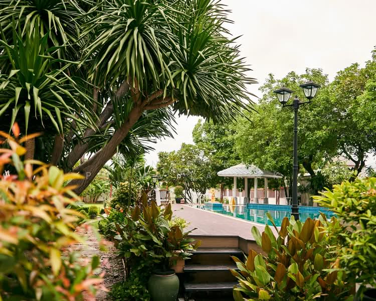 Bellevue Boutique Bangkok : เบลล์วิว บูทีค กรุงเทพ, กรุงเทพ, ซอย ศรีนครินทร์ 16, สวนหลวง, สวนหลวง, กรุงเทพ, 60 ตร.ม., อพาร์ทเมนท์ ให้เช่า, โดย Tanaporn Phumvilairak, 500207293 - DDproperty.com