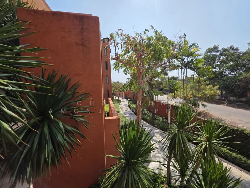 Las Tortugas Condo, Prachuap Khiri Khan, 392 Soi Hua Hin 101, Nong Kae, Hua Hin, Prachuap Khiri Khan, 1 Bedroom, 61 sqm, Condo For Sale, by Chayanun Amonjindaphat, 500207296 - DDproperty.com