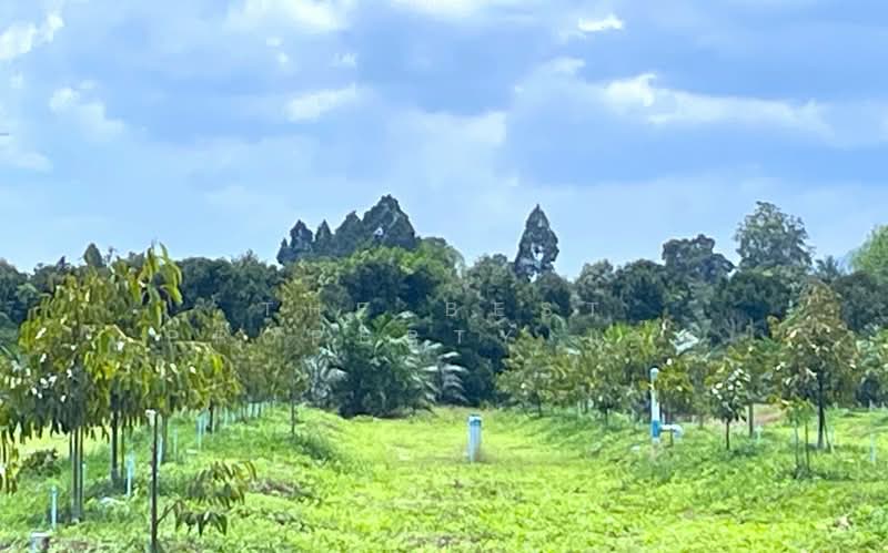 ที่ดินนบพิตำ นครศรีธรรมราช, Nakhon Si Thammarat, Na Reng, Nophi Tam, Nakhon Si Thammarat, , 26,756 sqm, Land For Sale, by The Best Property แจ๊ส, 500207315 - DDproperty.com