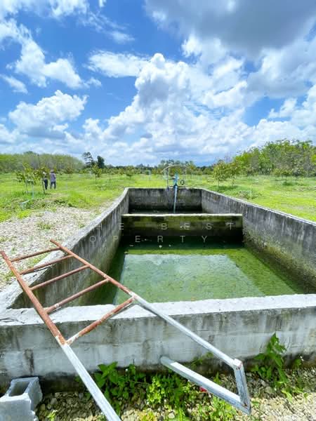 ขาย - ที่ดินนบพิตำ นครศรีธรรมราช, นครศรีธรรมราช
