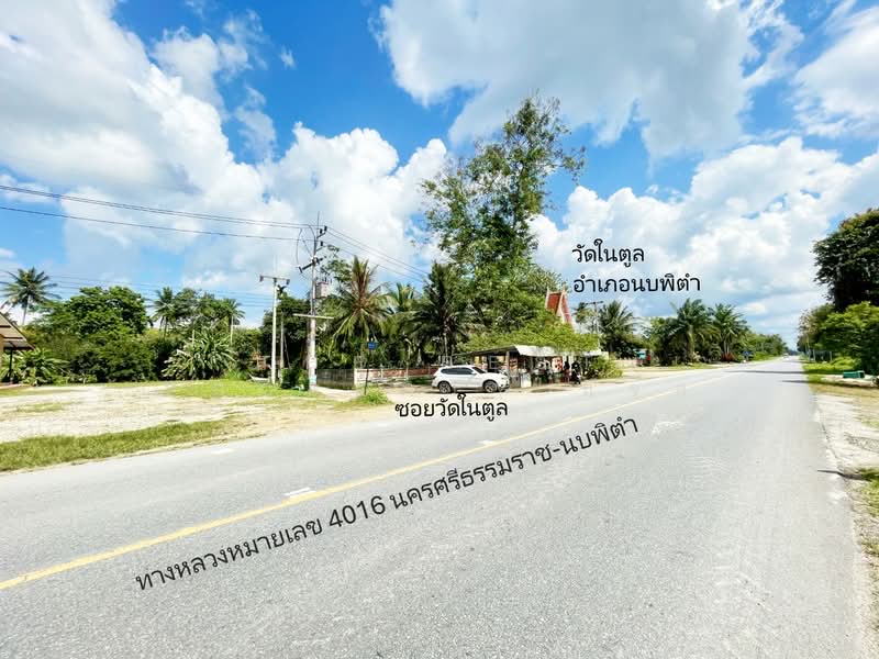 ที่ดินนบพิตำ นครศรีธรรมราช, Nakhon Si Thammarat, Na Reng, Nophi Tam, Nakhon Si Thammarat, , 26,756 sqm, Land For Sale, by The Best Property แจ๊ส, 500207315 - DDproperty.com