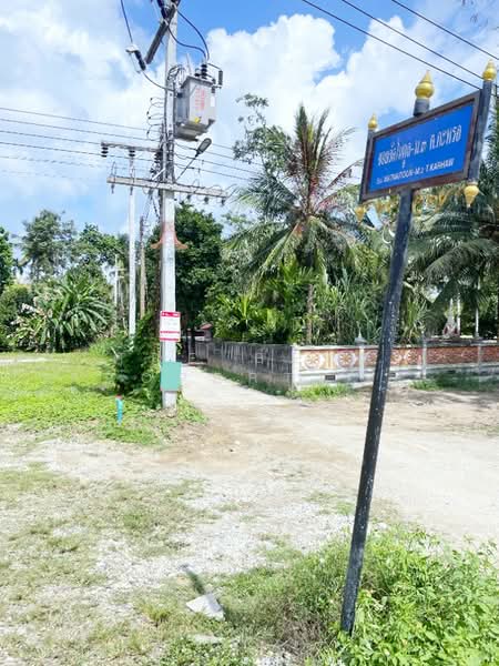 ที่ดินนบพิตำ นครศรีธรรมราช, Nakhon Si Thammarat, Na Reng, Nophi Tam, Nakhon Si Thammarat, , 26,756 sqm, Land For Sale, by The Best Property แจ๊ส, 500207315 - DDproperty.com