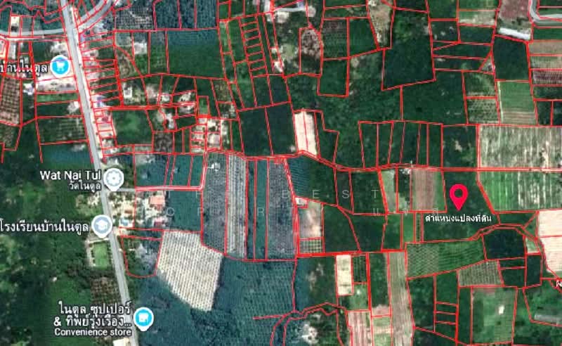 ที่ดินนบพิตำ นครศรีธรรมราช, Nakhon Si Thammarat, Na Reng, Nophi Tam, Nakhon Si Thammarat, , 26,756 sqm, Land For Sale, by The Best Property แจ๊ส, 500207315 - DDproperty.com
