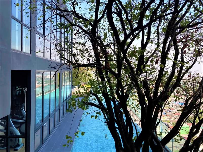 The Base Phetkasem, Bangkok, Phet Kasem Rd, Bang Wa, Phasi Charoen, Bangkok, 2 Bedrooms, 45 sqm, Condo For Rent, by Thawatchai Methawongworakul, 500207357 - DDproperty.com