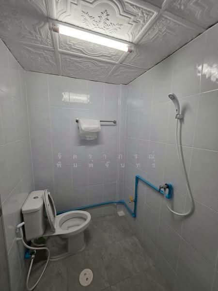 Sukhumvit​93, Bangkok, สุขุมสิท, Bang Chak, Phra Khanong, Bangkok, 2 Bedrooms, 144 sqm, Townhouse For Rent, by จิตราภรณ์ พิมพ์จันทร์, 500207408 - DDproperty.com