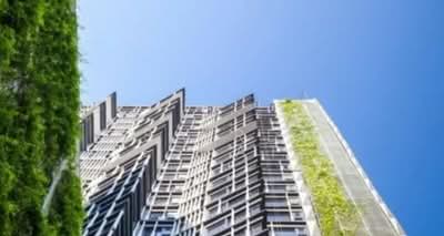 ขาย - Siamese Ratchakru : ไซมิส ราชครู, กรุงเทพ